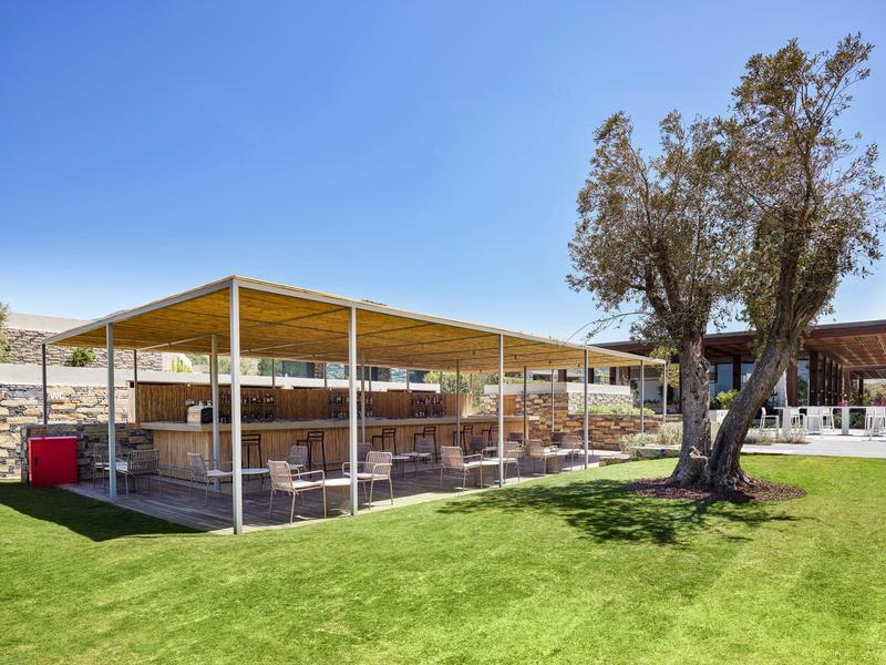 Outdoor open lounge area with yellow sunshade and olive tree under clear sky.