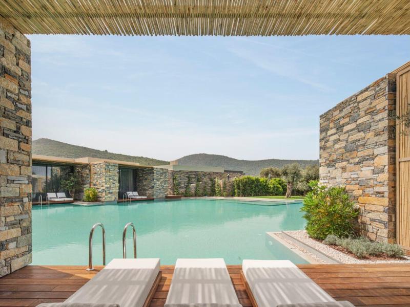 Modern outdoor pool with loungers and hill views, with a straw roof overhead.