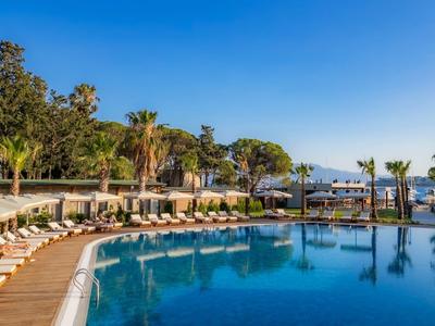 Grande piscine avec transats et palmiers par une journée ensoleillée dans une station hôtelière.