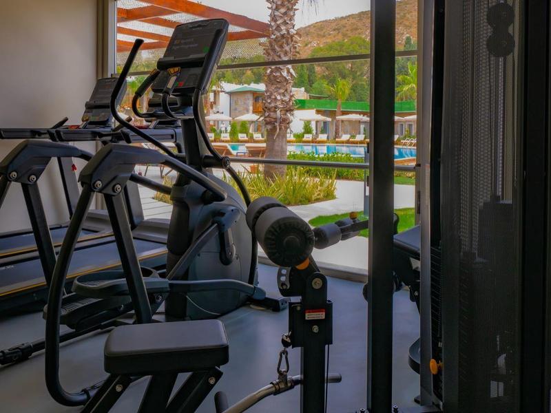 Salle de sport moderne avec équipements et vue sur terrasse et jardin.