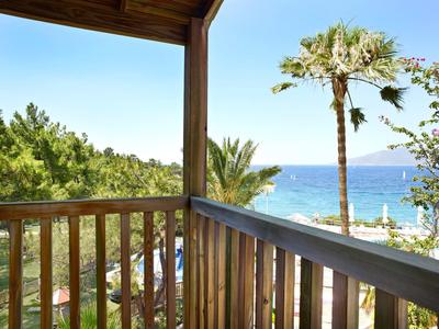Balcony with wooden railing overlooking the sea, palm trees, and green hills.
