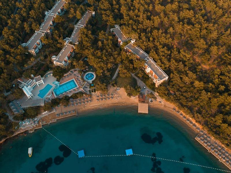 Aerial view of a beachfront resort with pool and forested surroundings