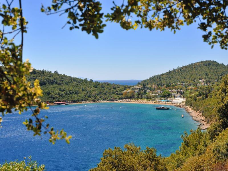 View of a calm bay with blue water surrounded by green hills and trees.
