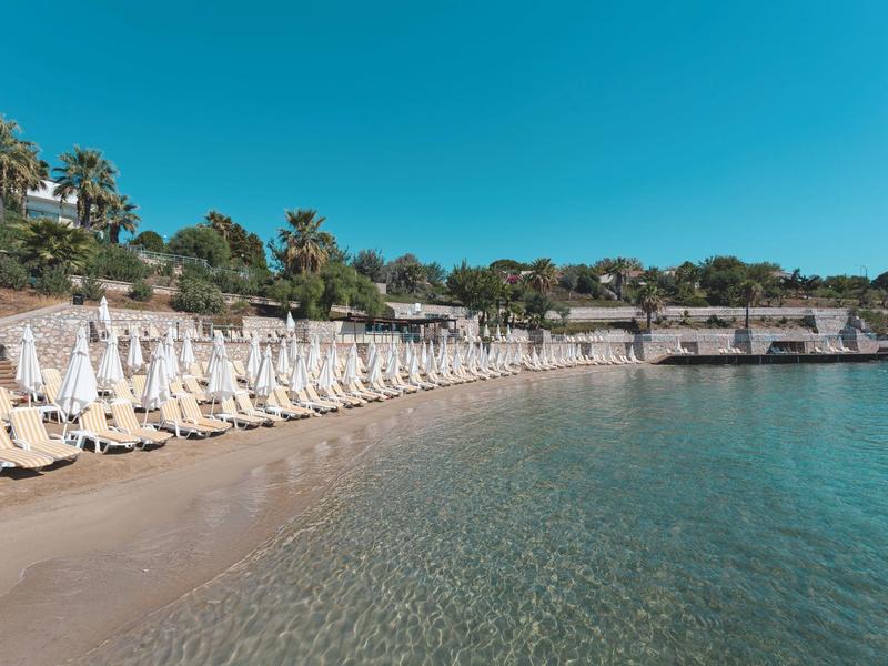 Leerer Sandstrand mit weißen Liegestühlen und sonnengeschützten Schirmen bei klarem Himmel.