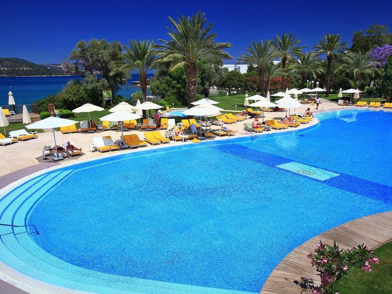 Curved blue swimming pool with yellow loungers and white umbrellas at a tropical resort.