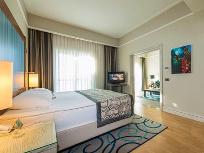 Modern hotelkamer met tweepersoonsbed, tapijt, tv en heldere raamfront.