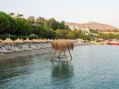 Strand mit Liegestühlen, Sonnenschirmen aus Stroh und ruhigem Meer, umgeben von Bäumen und Bergen.