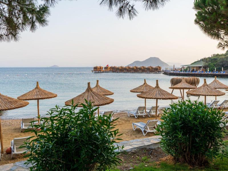 Strand mit Strohhut-Sonnenschirmen, Liegestühlen, grünem Busch und ruhigem Meer im Hintergrund.