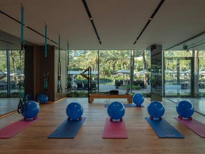 Moderner Fitnessraum mit großen Fenstern, Yoga-Matten und blauen Gymnastikbällen auf Holzboden.
