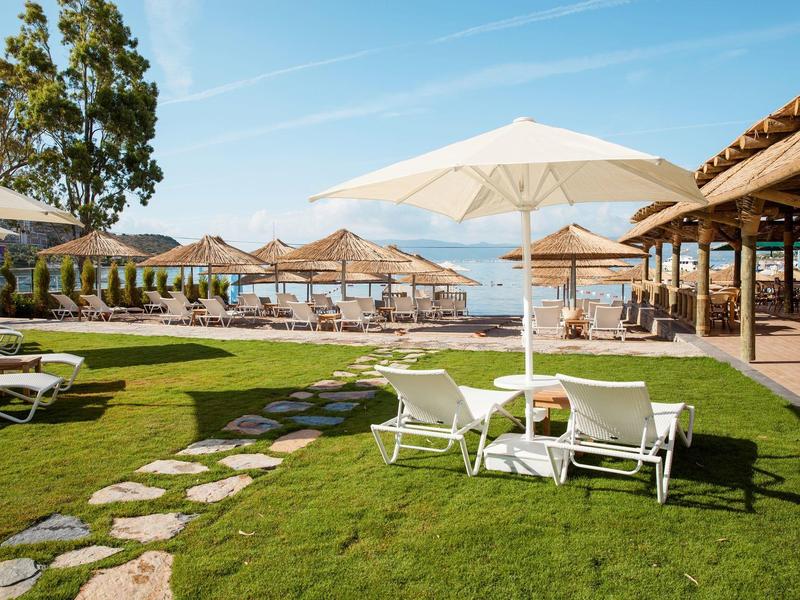 Zielony trawnik z białymi leżakami i parasolami przed hotelem przy plaży.