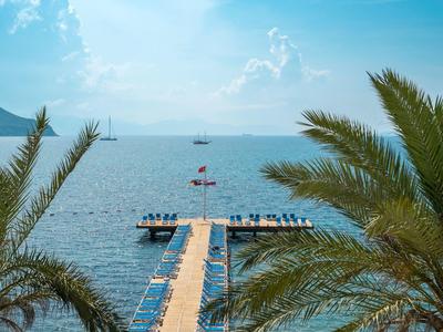 Pier with sun loungers and palm trees by calm sea under blue sky.