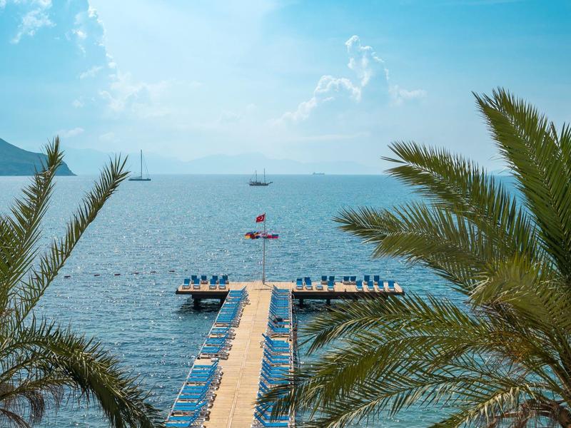Pier with sun loungers and palm trees by calm sea under blue sky.