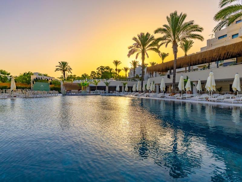 Swimming pool at sunset with sun loungers and palm trees at a resort.