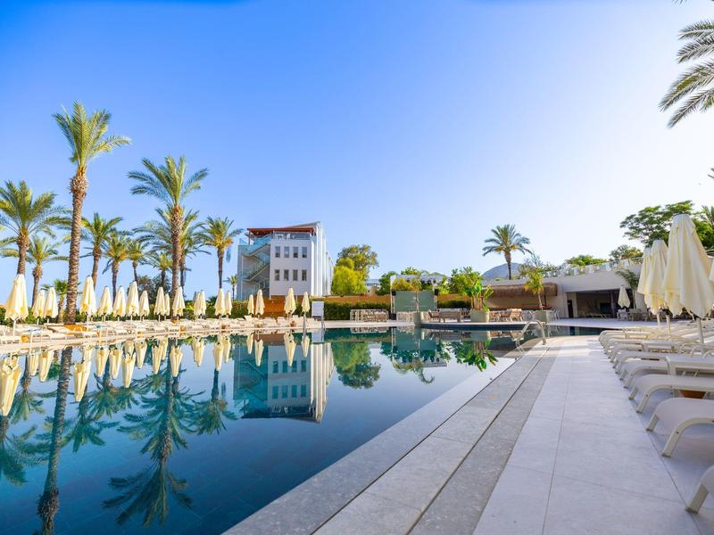 Hotel pool area with sun loungers, palm trees, and clear sky.