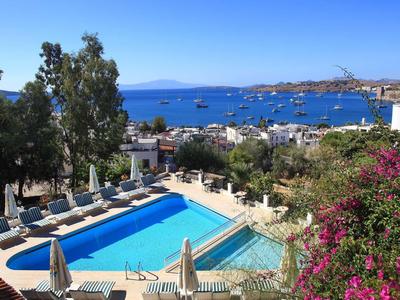 Vista di una piscina con lettini circondata da alberi, con mare e barche sullo sfondo.