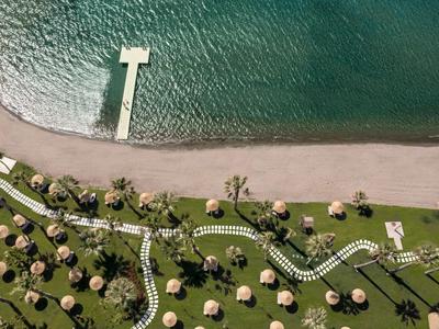 Vue aérienne d'une plage avec une jetée et des parasols sur pelouse verte.