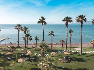Palmen stehen auf einer grünen Wiese neben einem Strand mit Blick auf das Meer.