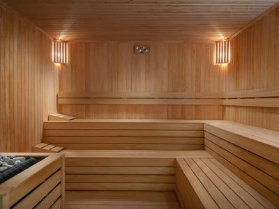 Intérieur d'un sauna en bois avec bancs et poêle à pierres chauffantes.
