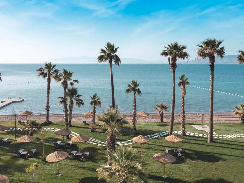 Jardin avec palmiers face à une plage et à la mer sous un ciel bleu clair.