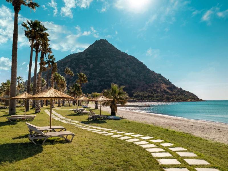 Plage avec chaises longues, palmiers et montagne sous un ciel ensoleillé.