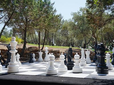 Duże szachy na świeżym powietrzu w zalesionym obszarze hotelu lub parku.