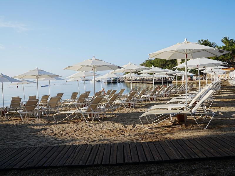 Puste leżaki i parasole na plaży z widokiem na morze.