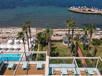 Aerial view of hotel pool, lounge chairs, palm trees, and the sea.