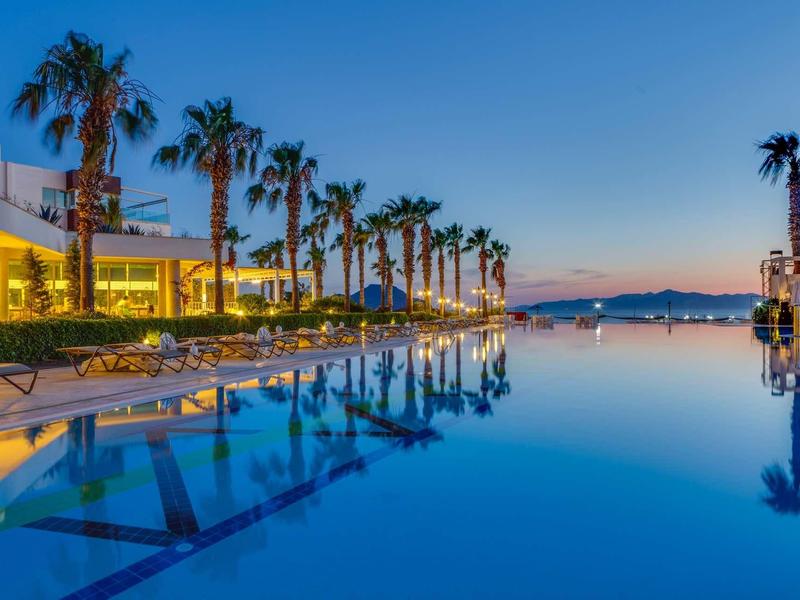 A luxury hotel pool with palm trees along the shore at sunset.