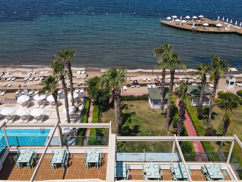 Aerial view of hotel pool, lounge chairs, palm trees, and the sea.
