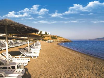 Plage de sable avec chaises longues et parasols au bord d'une mer calme sous un ciel bleu