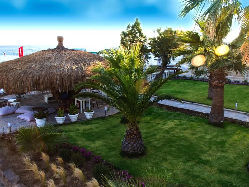 Giardino verde con palme e tetto di paglia in una località turistica sotto un cielo blu.