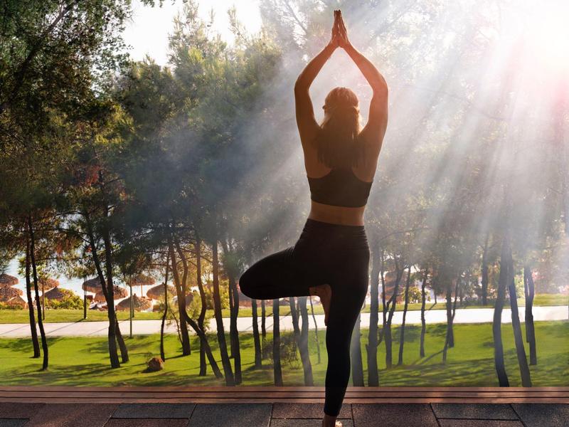 Person practicing tree pose yoga in morning sun at a park with trees.