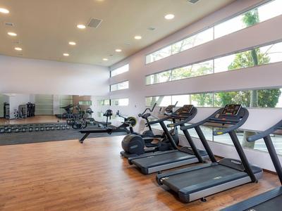 Palestra moderna con tapis roulant, specchi e grandi finestre con vista sul verde.