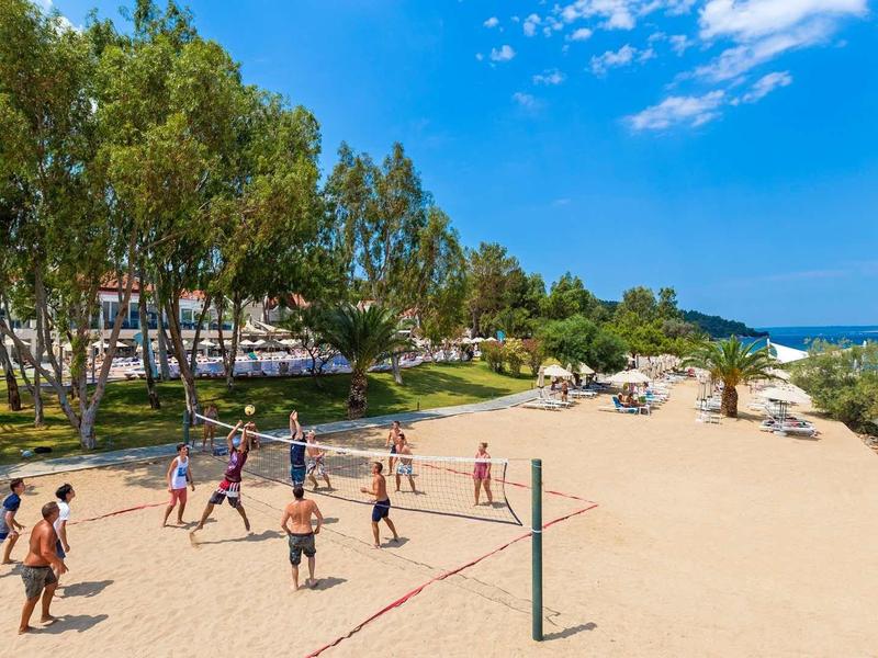 Plaża z boiskiem do siatkówki, drzewami i widokiem na morze w słoneczny dzień.