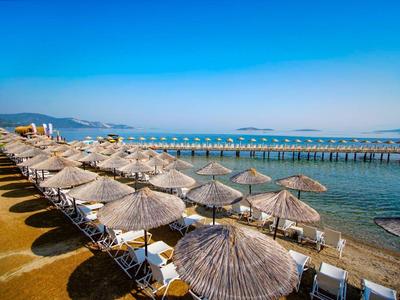 Strand met strooien parasols en ligstoelen bij kalm helder zeewater onder blauwe lucht.