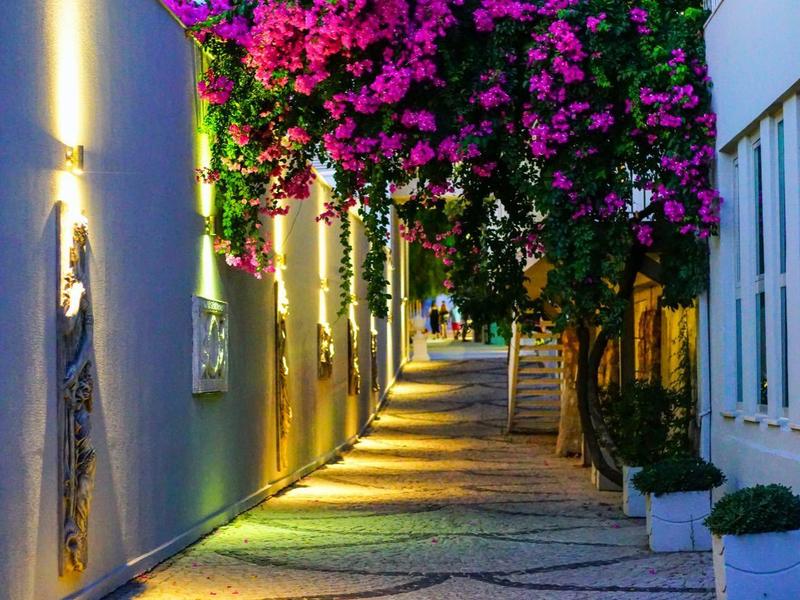Verlichte doorgang met bloemen en planten langs een modern hotel bij schemering.