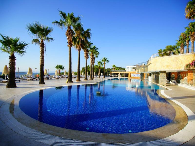 Blauw zwembad met palmbomen en heldere blauwe lucht bij een resort.