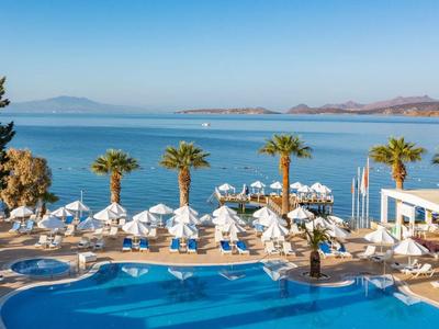 Hotelpool mit Sonnenschirmen und Palmen am Meer mit klarem blauen Himmel.