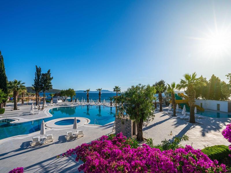 Zonnig resort met zwembad, palmbomen en kleurrijke bloemen onder een heldere blauwe lucht.