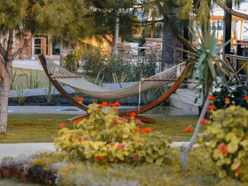 Taras na świeżym powietrzu z kolorowymi stołami, krzesłami i drzewami, relaksująca atmosfera.