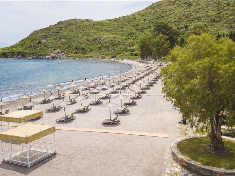 Prázdná písečná pláž s deštníky a lehátky podél klidného pobřeží.