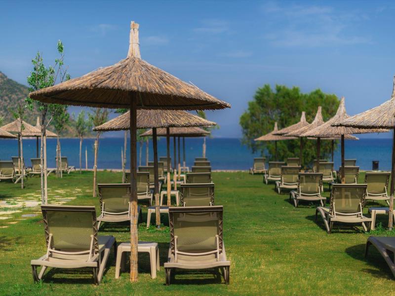 Více lehátek a slaměných slunečníků na trávníku s výhledem na moře.