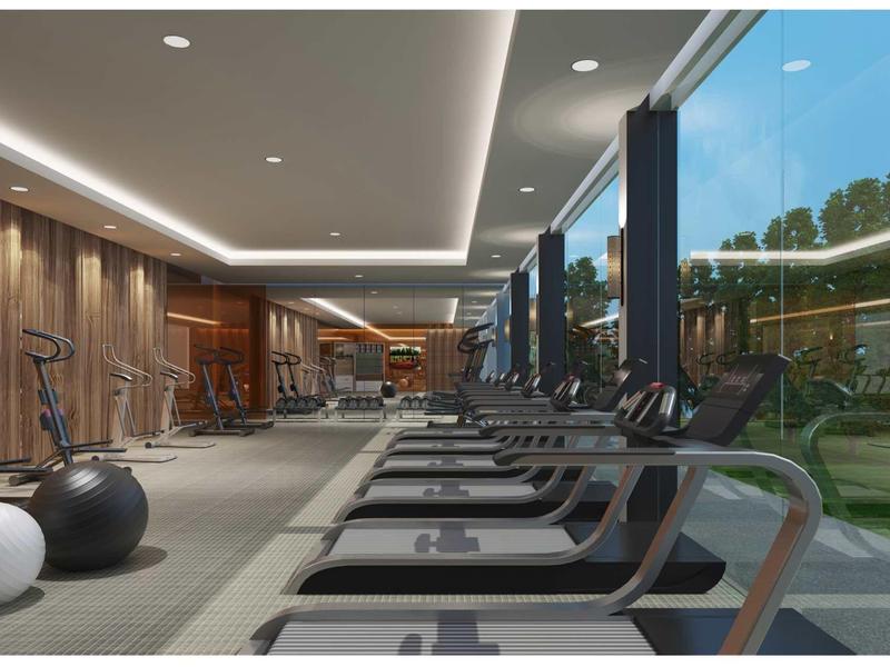 Modern gym with treadmills and large windows overlooking greenery.
