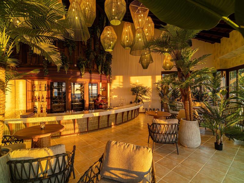 Cozy lounge with armchairs, plants, and warm lighting in a hotel area.