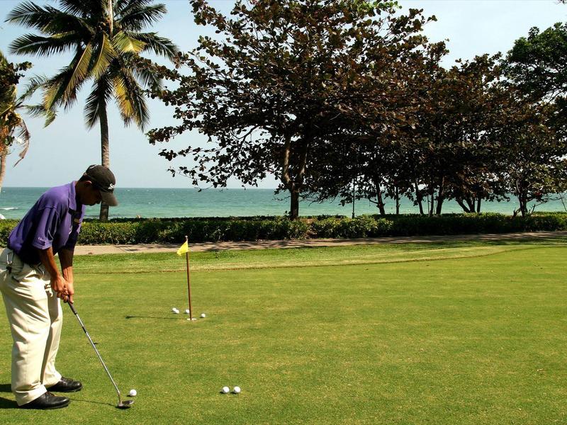 Man die golf speelt op een groen met palmbomen en oceaan op de achtergrond.