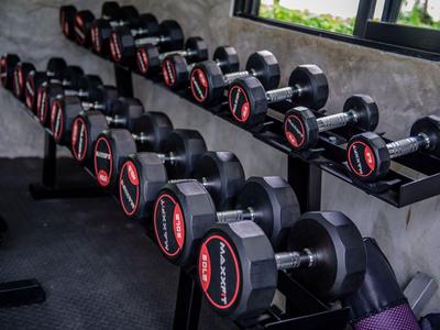 Due file di manubri neri in palestra accanto a un muro grigio e una finestra.