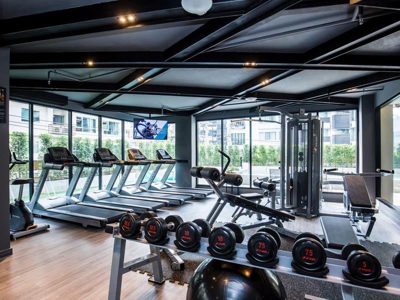 Bright modern gym with treadmills, weights, and strength machines with large windows.