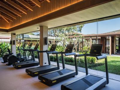 Modern gym with treadmills overlooking a green outdoor area.