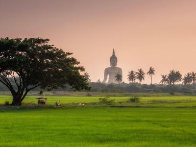 Green rice fields with a large Buddha statue and palm trees in the background at sunset.