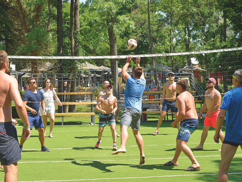 Skupina hraje volejbal na zeleném trávníku venku za slunečného počasí